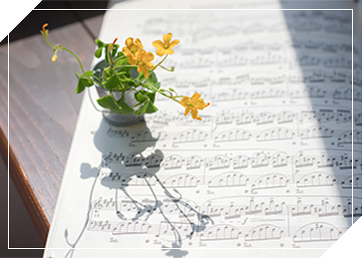 女の子がピアノを弾く姿